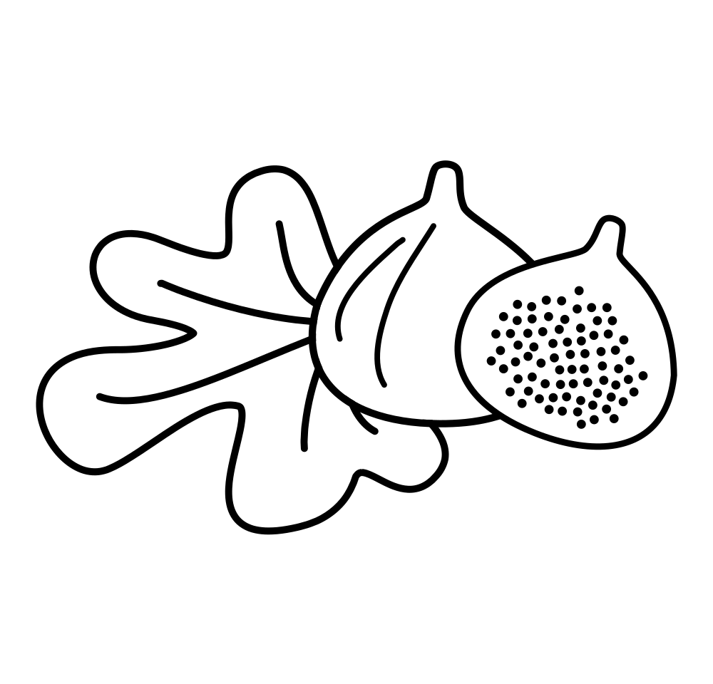 Little figs coloring book